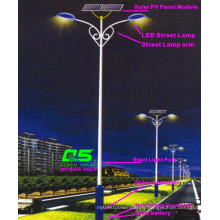 WPSRR-8604 3~15m Municipal Road Hot DIP Galvanized Steet Light Pole style